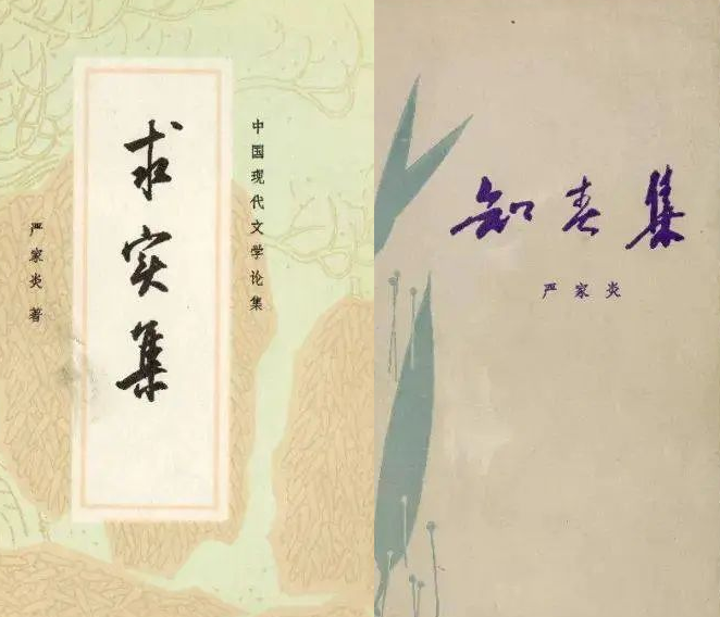 吴宝三：我的恩师严家炎先生
